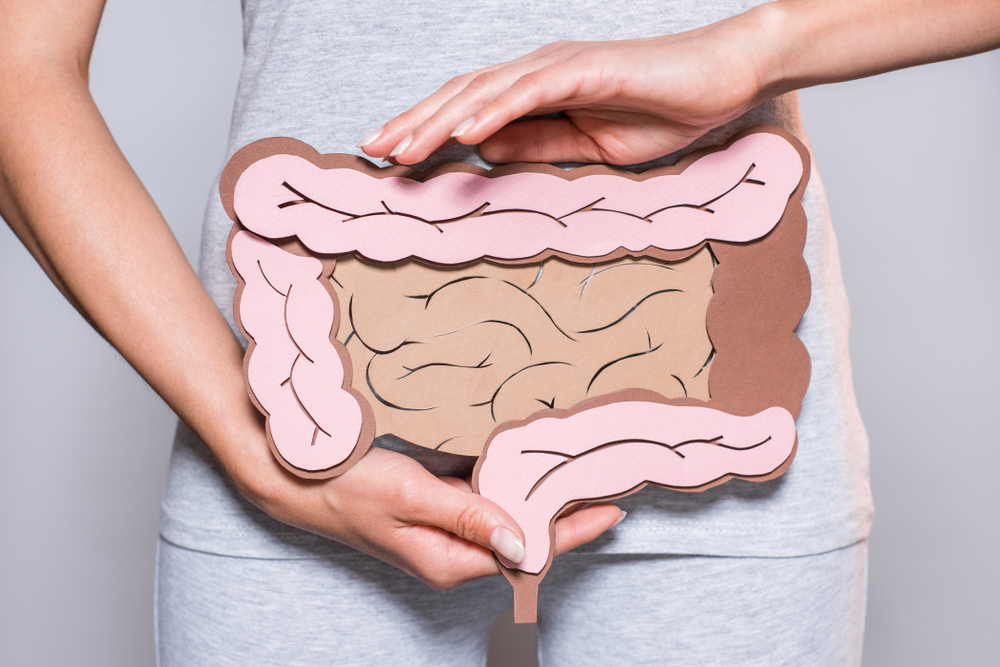 Partial,View,Of,Woman,Holding,Paper,Made,Large,Intestine,On